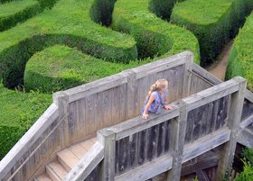 Ein Mädchen steht auf einer Brücke vor einem Labyrinth